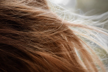 DHT and Hair Loss The Connection You Need to Know