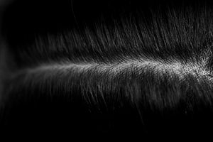 Effective Hair Regrowth Foams for Men with Minoxidil
